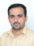 سید محمد حجتی