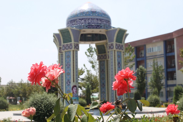 Found_131768910_4141793