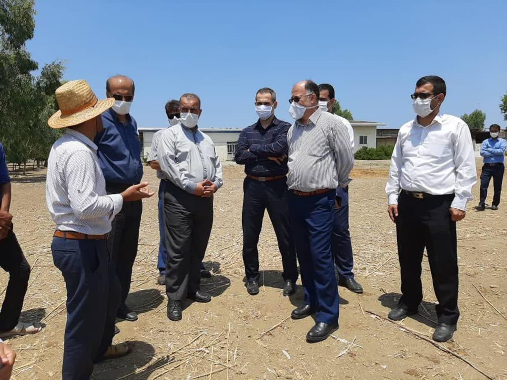 photo_2020-07-08_09-04-54