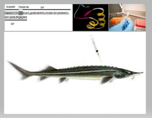 WhatsApp Image 2021-01-05 at 11.29.45