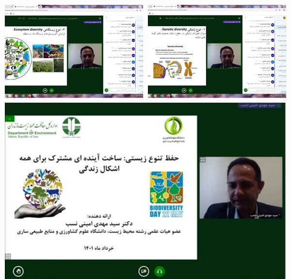 WhatsApp-Image-2022-05-23-at-12.28.52-PM