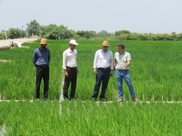 WhatsApp-Image-2022-06-28-at-2.14.19-PM