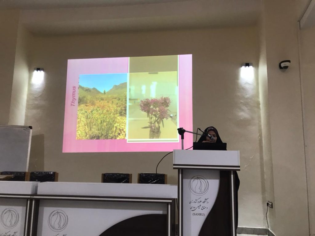 WhatsApp-Image-2022-07-31-at-9.20.22-AM