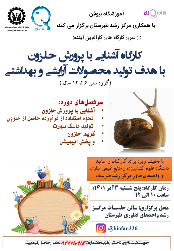 ارائه (1)