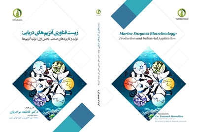 طرح-جلد-كتاب-ترجمه-شده-دكتر-مراديان1