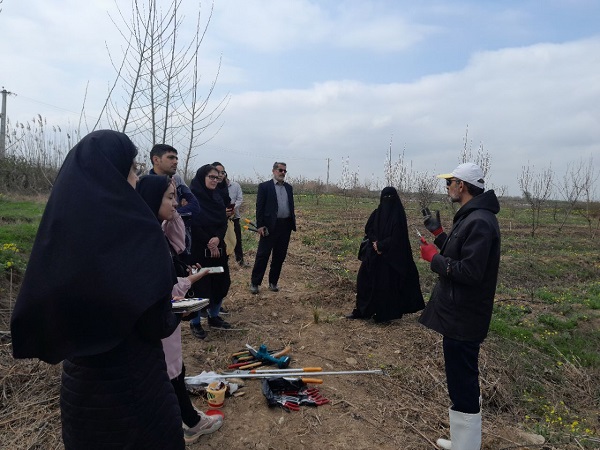 photo144139377741388056