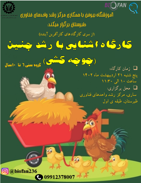 جوجه کشی