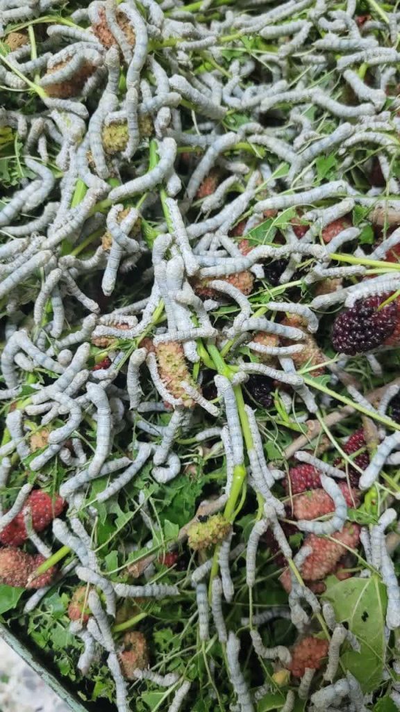 photo_2023-06-10_09-32-58