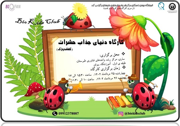 WhatsApp Image 2023-08-13 at 10.58.31