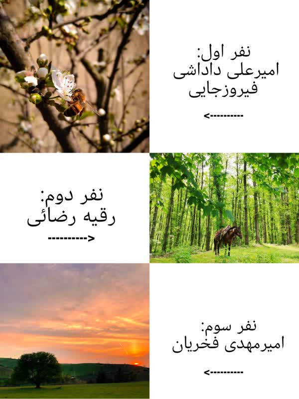 f320d30c-992f-44f6-a0b5-f44d88691e53