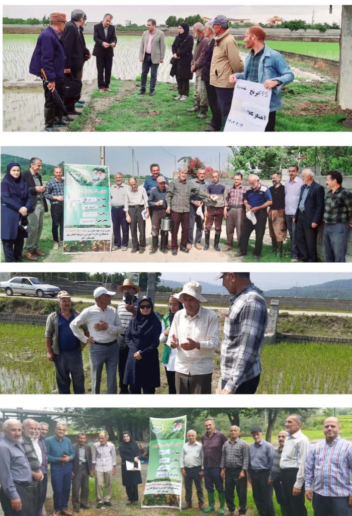 Microsoft Word - ??? ????? ???? ????? ?? ????? Microsoft Word - ??? ????? ???? ????? ?? ?????