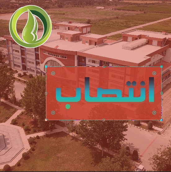 photo_2019-05-29_14-02-59-800x690