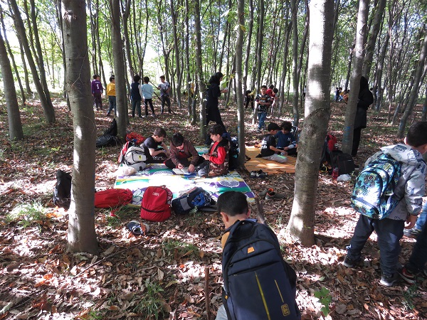 IMG_1541-1 IMG_1541-1