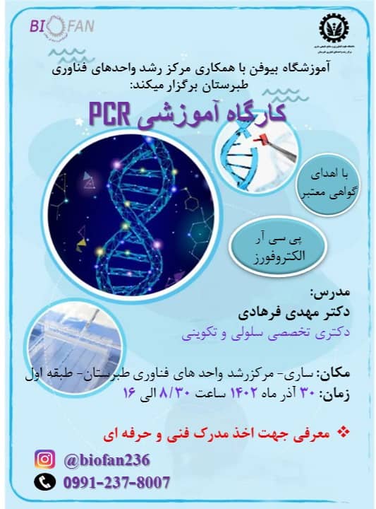 WhatsApp Image 2023-12-16 at 11.39.58_fea43ffa