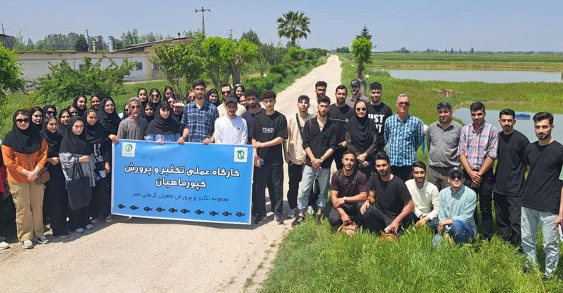 Screenshot 2024-05-29 105853