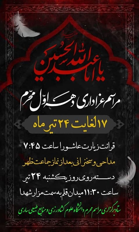 photo_2024-07-06_01-59-55