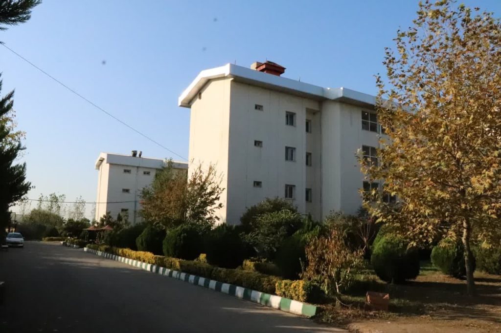 photo_2024-10-19_05-21-31 (2)