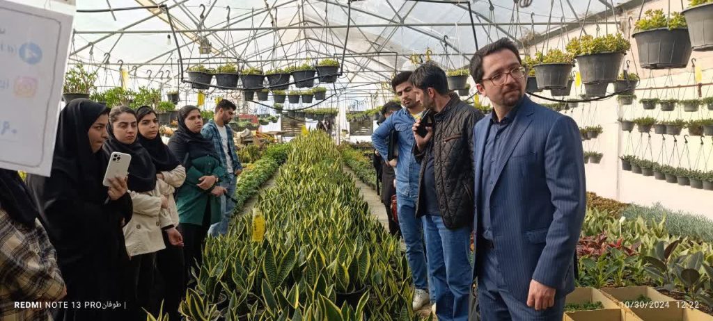 photo_1_2024-11-02_14-45-01 photo_1_2024-11-02_14-45-01