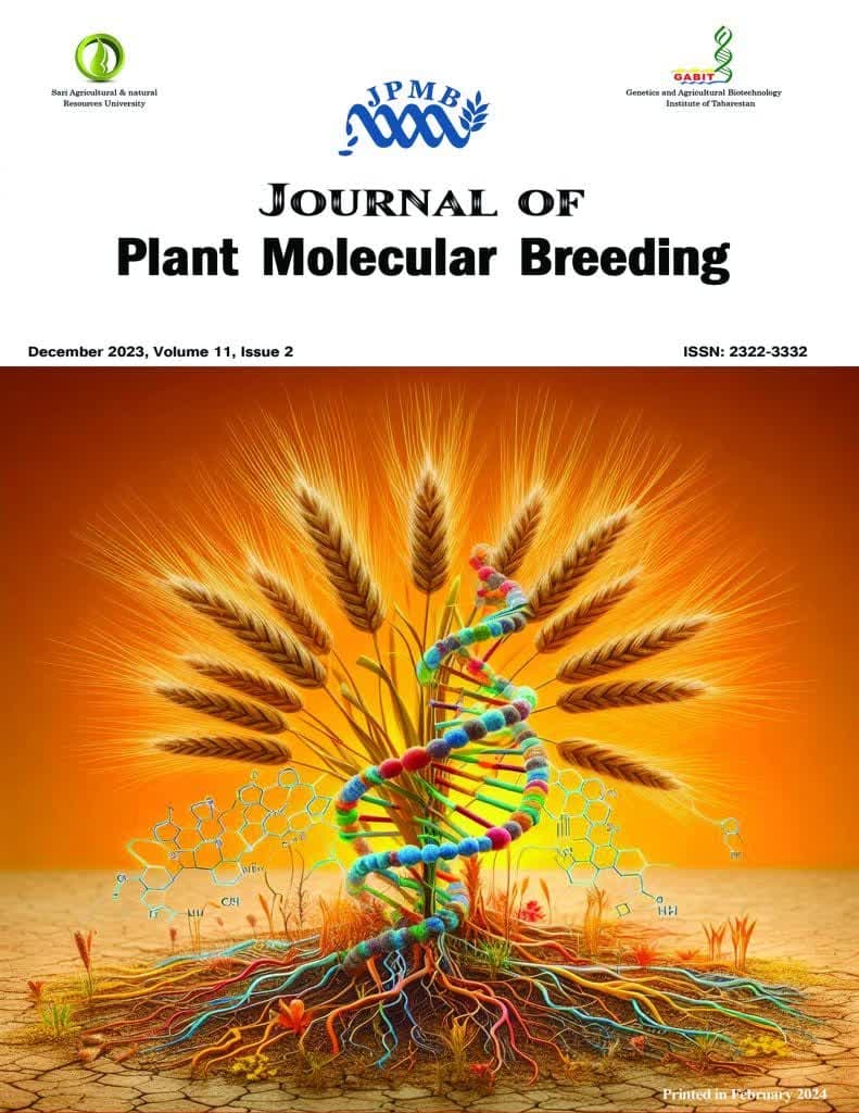 photo_2024-11-13_08-26-14 photo_2024-11-13_08-26-14