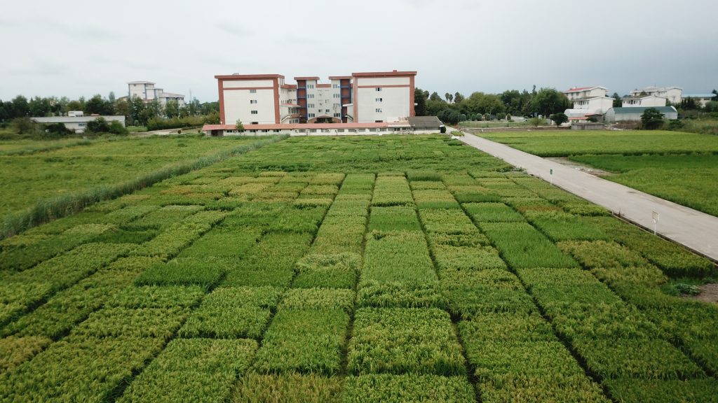 DJI_0086