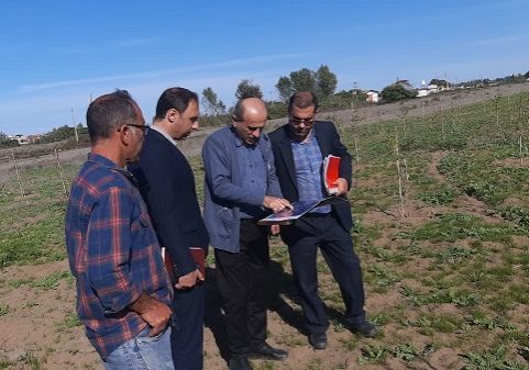 photo_2025-11-05_13-13-12 (2)