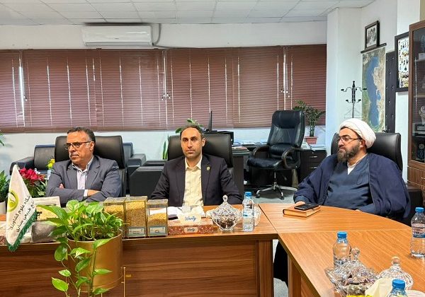 photo_2025-11-19_11-08-06