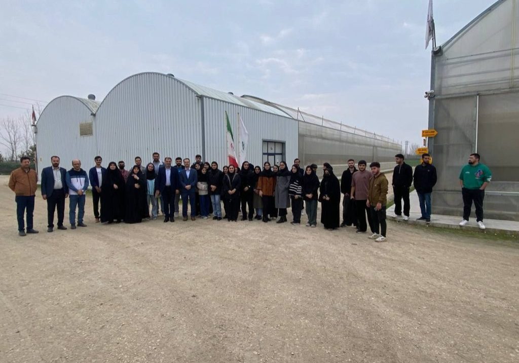 photo_5_2025-12-09_12-59-02