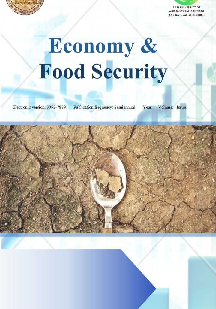 اقتصاد و امنيت جلد انگليسي